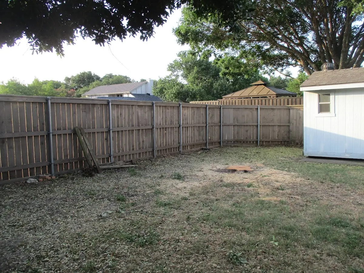 Cleared yard after professional tree removal in Milton